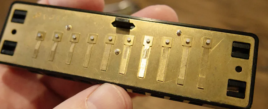 Язычки губной гармошки